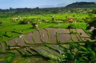 Go on a guided village tour