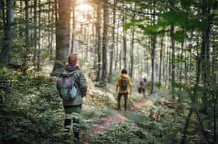 Hike through forests & dunes to Chiloe National park