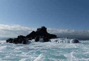 Visit Roca Unión, a small island full of life