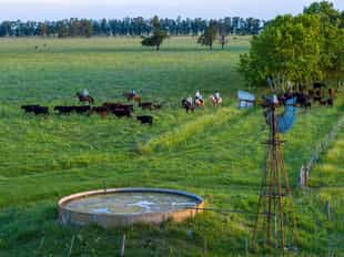 Explore La Bandada on a horseback with a guide
