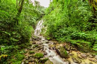 Explore local highlights of Valle de Anton