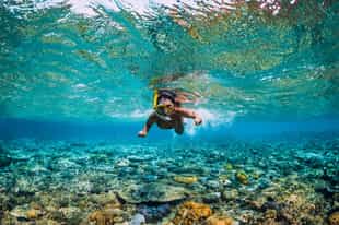 Go on a catamaran snorkel trip in Zanzibar