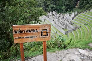 Explore the Mysteries of Wiñay Wayna 