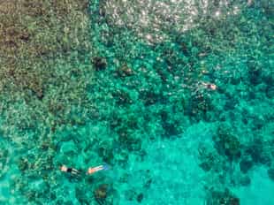 Snorkel in Galapagos islands crystal waters