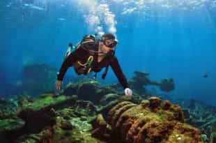 Go diving in Ilha Grande