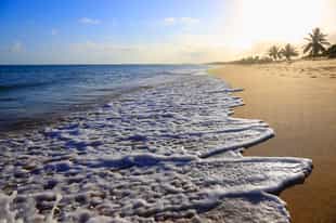 Discover the beach of Praia do Forte, Salvador