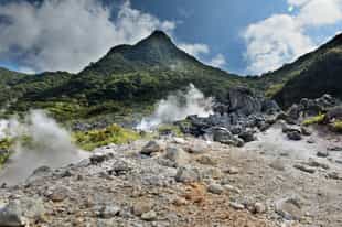 Relax in rejuvenating hot springs of hakone