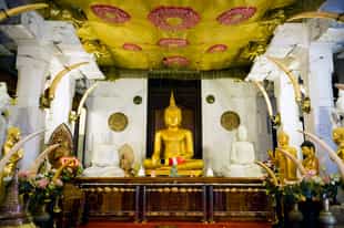 Visit the Temple of the Tooth
