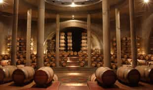 Explore Bodega Salentein's architecture & art