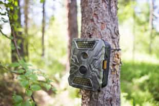 Set up camera traps in the Eastern Cape
