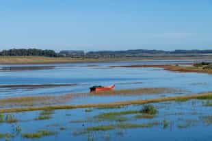 Spend the morning birdwatching at Laguna Garzon + Laguna Jose Ignacio