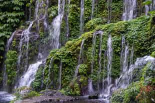 Walk through the farms and forests of Munduk