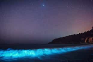 Witness bioluminescent waters in Bocas del Toro