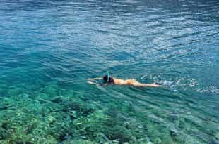 Snorkel through Panama's coral reefs