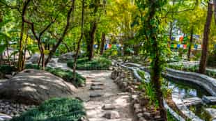 Explore the Norbulingka Institute in Dharamsala