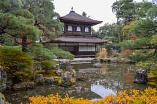 Visit the Silver Pavilion - Ginkakuji Temple