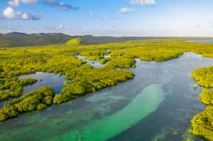 Explore the Anavilhanas Archipelago, Amazonas