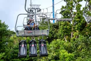 Have fun at the skyline luge
