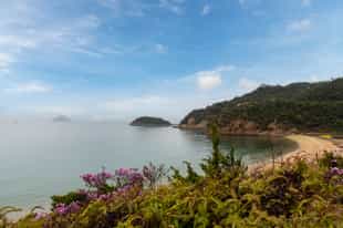 Visit Naoshima Island 
