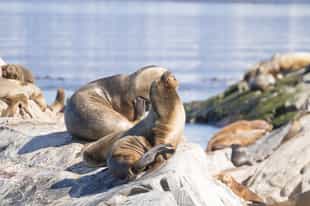 See wildlife on a boat trip in the Lake District