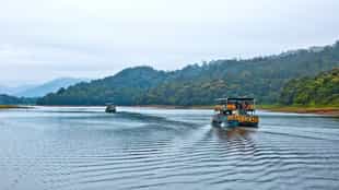 Go on a boating safari in Periyar National Park