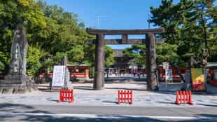 Take a guided tour of Fukuoka's Hakozaki Shrine