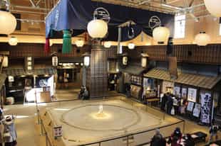 Explore Ryōgoku Edo NOREN in Tokyo