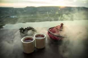 Immerse yourself in a Tea & Indigo workshop