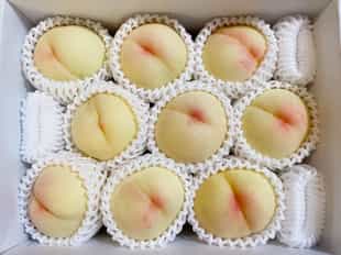 Go on a foodie tour in Okayama City