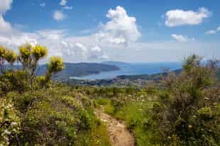 Trek the trails of Isola d'Elba 