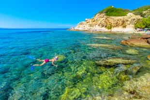 See marine life while snorkelling in Isola d'Elba 