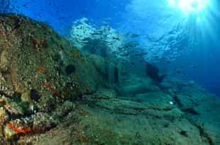 Go on a diving adventure in Isola d'Elba 