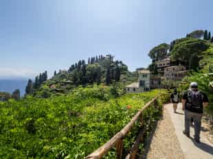 Take a private guided eco-farm tour in Portofino