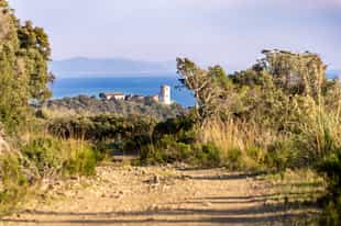 Hike the trails of Maremma