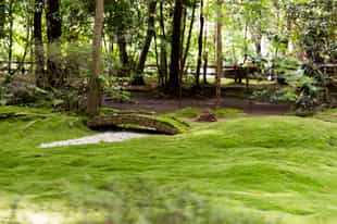 Walk around the Hiyo Moss Garden, Kanazawa