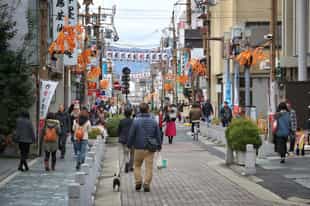 See the sites of Nara on a day tour