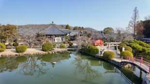 Visit the 400 year old Kodaiji Temple