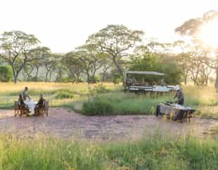 Delight in a bush breakfast in the Serengeti