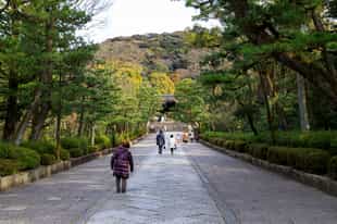 Explore Maruyama Park in Kyoto