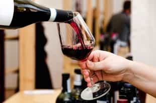 Immerse yourself in the wine culture of Langhe