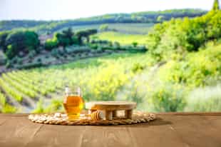 Learn about bees and taste honeys in Langhe