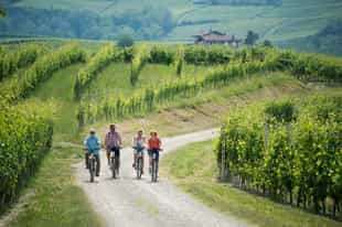 Explore the enchanting Langhe hills on an e-bike