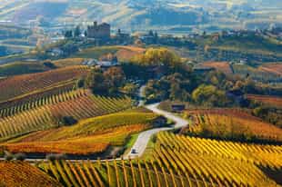 Take a scenic vespa ride through the Langhe hills