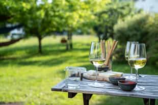Go cheese tasting at a picnic in the Langhe Hills