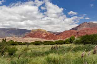 Horseback ride through the Salta landscape