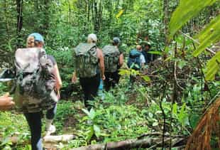 Go jungle trekking in the Cardamom Mountains