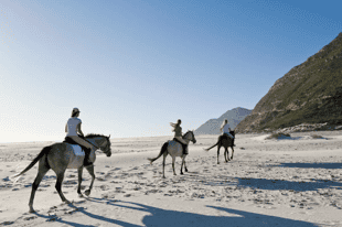 Horse Riding on Noordhoek Beach