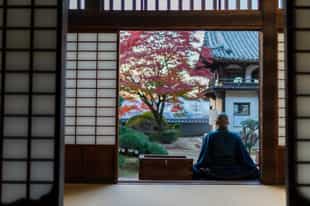 Sit with the monks of Sennyu-ji