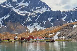 Visit Shackleton's final resting place, Grytviken