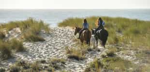 Enjoy a horseback ride through José Ignacio